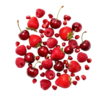 Frutos del bosque Caxi