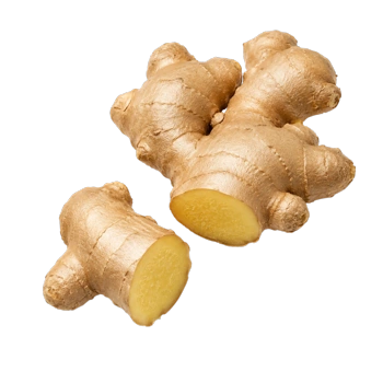 Jengibre Caxi