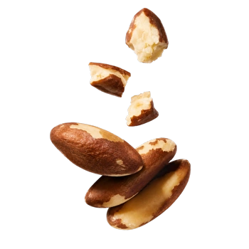 Nueces de Brasil Caxi