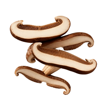 Setas shiitake Caxi